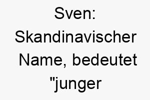 sven skandinavischer name bedeutet junger mann oder junger krieger 25895