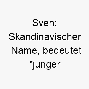 sven skandinavischer name bedeutet junger mann oder junger krieger 25895