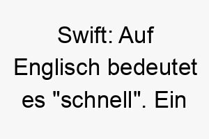 swift auf englisch bedeutet es schnell ein guter name fuer einen schnellen oder agilen hund 25883