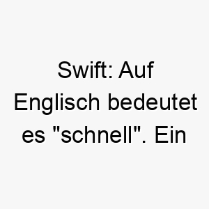 swift auf englisch bedeutet es schnell ein guter name fuer einen schnellen oder agilen hund 25883