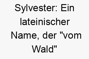 sylvester ein lateinischer name der vom wald bedeutet 25884