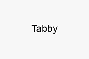 tabby 9331