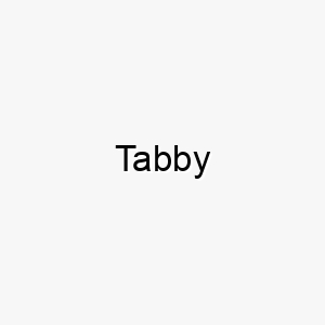 tabby 9331