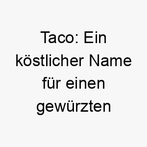 taco ein koestlicher name fuer einen gewuerzten vierbeiner mit viel charme 26229