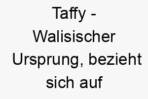 taffy walisischer ursprung bezieht sich auf die suessigkeit taffy bedeutung als hundename 2 12051