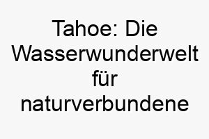 tahoe die wasserwunderwelt fuer naturverbundene hunde 26256