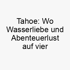 tahoe wo wasserliebe und abenteuerlust auf vier pfoten treffen 26246