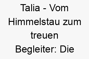 talia vom himmelstau zum treuen begleiter die bedeutung als hundename 11673