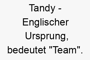 tandy englischer ursprung bedeutet team bedeutung als hundename 12063