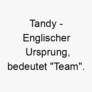 tandy englischer ursprung bedeutet team 9437 2