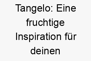 tangelo eine fruchtige inspiration fuer deinen suessen vierbeiner 26501