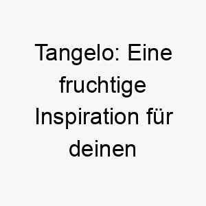 tangelo eine fruchtige inspiration fuer deinen suessen vierbeiner 26501