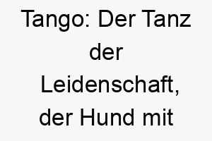 tango der tanz der leidenschaft der hund mit energie 26746