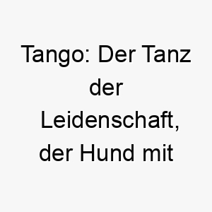 tango der tanz der leidenschaft der hund mit energie 26746