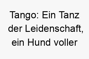 tango ein tanz der leidenschaft ein hund voller energie 26262