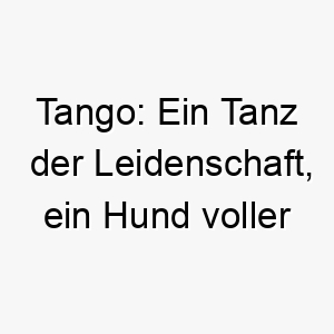 tango ein tanz der leidenschaft ein hund voller energie 26262