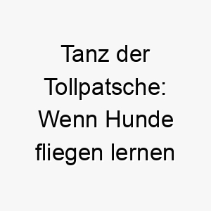 tanz der tollpatsche wenn hunde fliegen lernen 26243