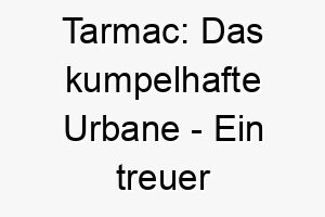 tarmac das kumpelhafte urbane ein treuer weggefaehrte 26439