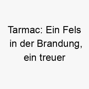 tarmac ein fels in der brandung ein treuer begleiter in hundegestalt 26505