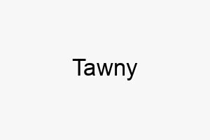 tawny 9369