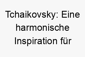 tchaikovsky eine harmonische inspiration fuer musikliebende hundefamilien 26430