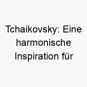 tchaikovsky eine harmonische inspiration fuer musikliebende hundefamilien 26430