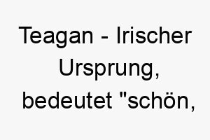 teagan irischer ursprung bedeutet schoen attraktiv 9387