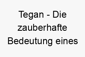 tegan die zauberhafte bedeutung eines walisischen namens 11706