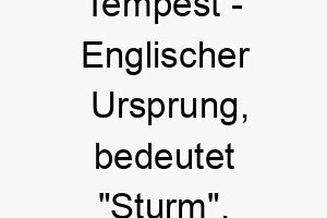 tempest englischer ursprung bedeutet sturm bedeutung als hundename 12036