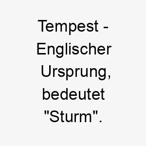 tempest englischer ursprung bedeutet sturm bedeutung als hundename 12036