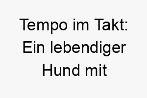 tempo im takt ein lebendiger hund mit rhythmischem namen 26434