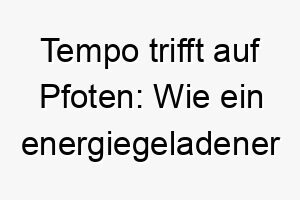 tempo trifft auf pfoten wie ein energiegeladener hund den rhythmus des lebens meistert 26247