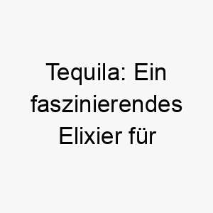 tequila ein faszinierendes elixier fuer hundegleich starke und wuerzige gemueter 26244