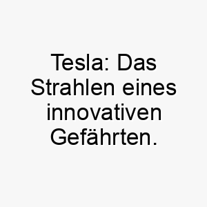 tesla das strahlen eines innovativen gefaehrten 26477