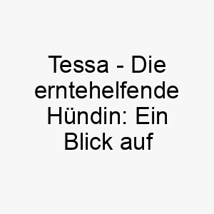 tessa die erntehelfende huendin ein blick auf den griechischen ursprung und ihre bedeutung als hundename 11715