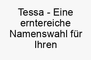 tessa eine erntereiche namenswahl fuer ihren treuen hund 11675