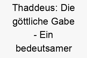 thaddeus die goettliche gabe ein bedeutsamer name fuer deinen treuen gefaehrten 26441