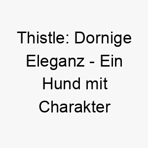 thistle dornige eleganz ein hund mit charakter und charme 26407