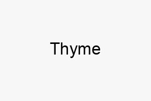 thyme 9388 1