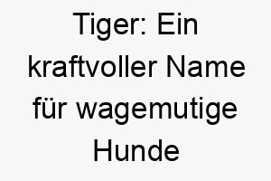 tiger ein kraftvoller name fuer wagemutige hunde und starke persoenlichkeiten 26233