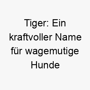 tiger ein kraftvoller name fuer wagemutige hunde und starke persoenlichkeiten 26233