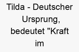 tilda deutscher ursprung bedeutet kraft im kampf bedeutung als hundename 2 12075