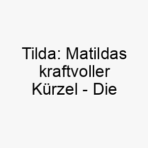 tilda matildas kraftvoller kuerzel die bedeutung als perfekter hundename 11684