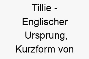 tillie englischer ursprung kurzform von matilda bedeutet kraft im kampf 9349