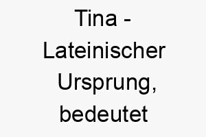 tina lateinischer ursprung bedeutet anhaengerin christi bedeutung als hundename 11899