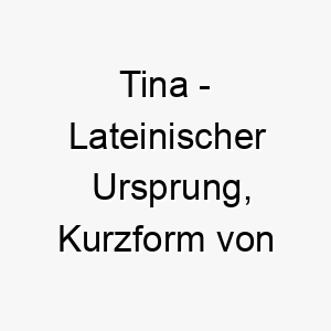 tina lateinischer ursprung kurzform von christina bedeutet anhaengerin christi 9305