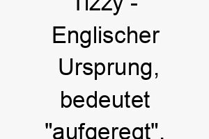 tizzy englischer ursprung bedeutet aufgeregt 9416