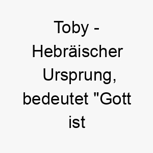 toby hebraeischer ursprung bedeutet gott ist gut bedeutung als hundename 11918