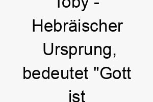 toby hebraeischer ursprung bedeutet gott ist gut 9350