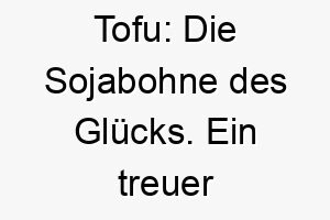 tofu die sojabohne des gluecks ein treuer begleiter mit einfachem charme 26500